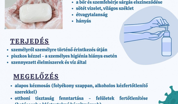 Aktuality / Hepatitída typu A - foto