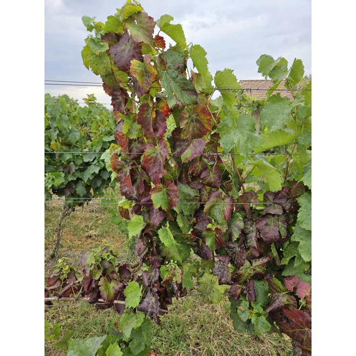 Menšia fotka pre článok nový článok