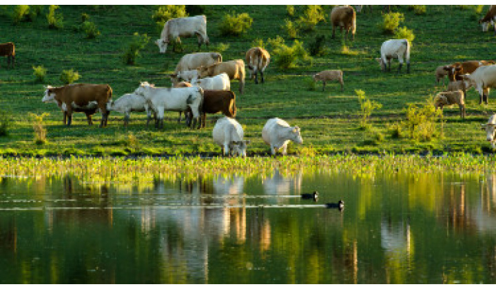 Fotka pre článok Rozhodnutie MPRV SR o obmedzení využívania lesov verejnosťou